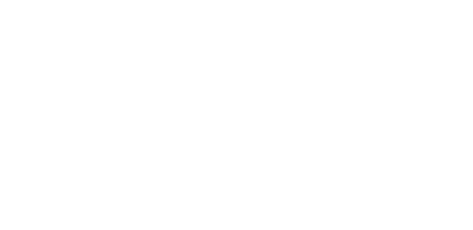 LUX ELECTRA